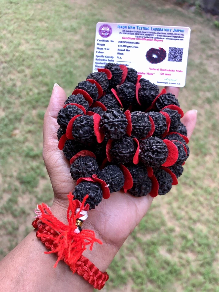 LAB CERTIFIED 5 Mukhi RUDRAKSHA Rudraksh Mala ROSARY 54+1 Big Beads BLACK DYED - Image 2 of 4