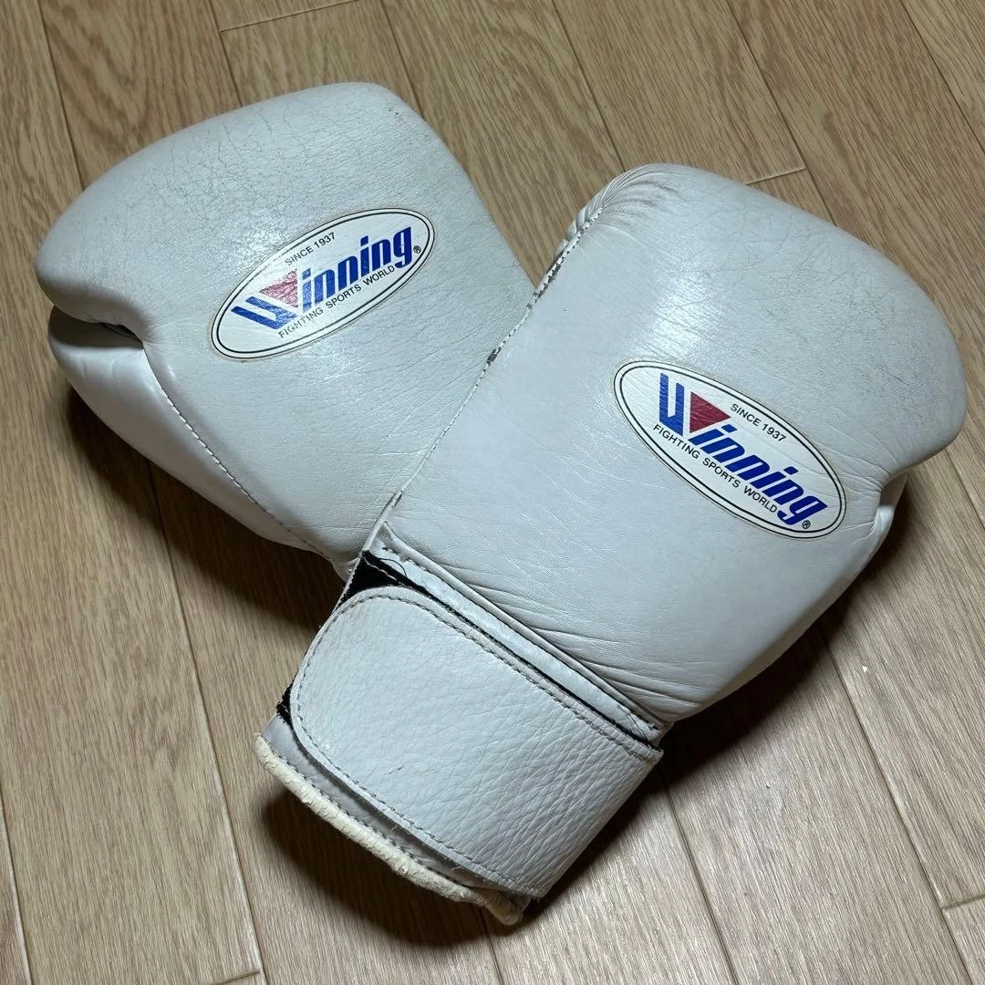 Winning 8 oz. Weight Boxing Gloves for sale | eBay