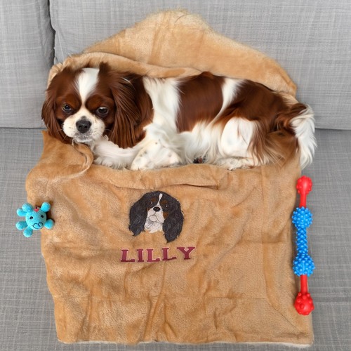 Cavalier King Charles Spaniel Double Thick Personalised Dog Blanket 5 Colours - Picture 1 of 14