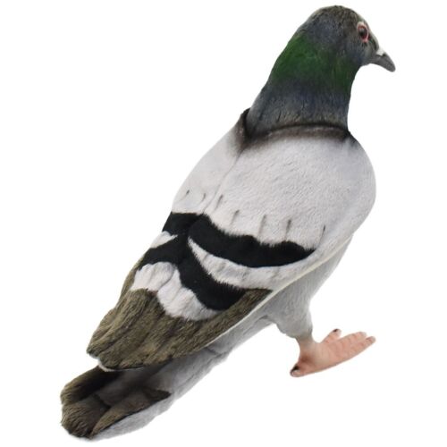 HANSA PICCIONE/COLOMBA 29 BH6299 NUOVO Realistico Peluche Animali dal GIAPPONE - Foto 3 di 9
