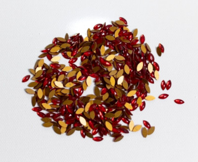5 Gross~ BRAND NEW Siam Ruby (6x3 mm) NAVETTES Flatback Gold Foiled Domed
