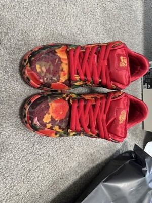 Nike Dunk SB Low The Wizard of Oz x Poppy Field Men's size 9.5 - *NEW*