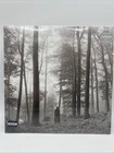 New 2020 Taylor Swift Folklore Vinyl LP Cardigan Bonus Track: The Lakes FreeS&H