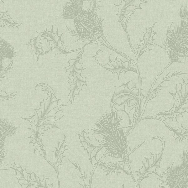 Holden Thistle Pflanzen Tapete Botanisch Wild Florale Farne GrüN Matt 14370-image