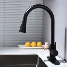 PA Kitchen Faucet with Pull Out Spraye,Matte Black