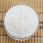 2002 American Silver Eagle 1 oz .999 Fine Silver Coin