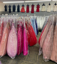 20PC BALLGOWN PROM DRESS LOT -Rachel Allan-MoriLee-Precious-Mac Duggal 0-14