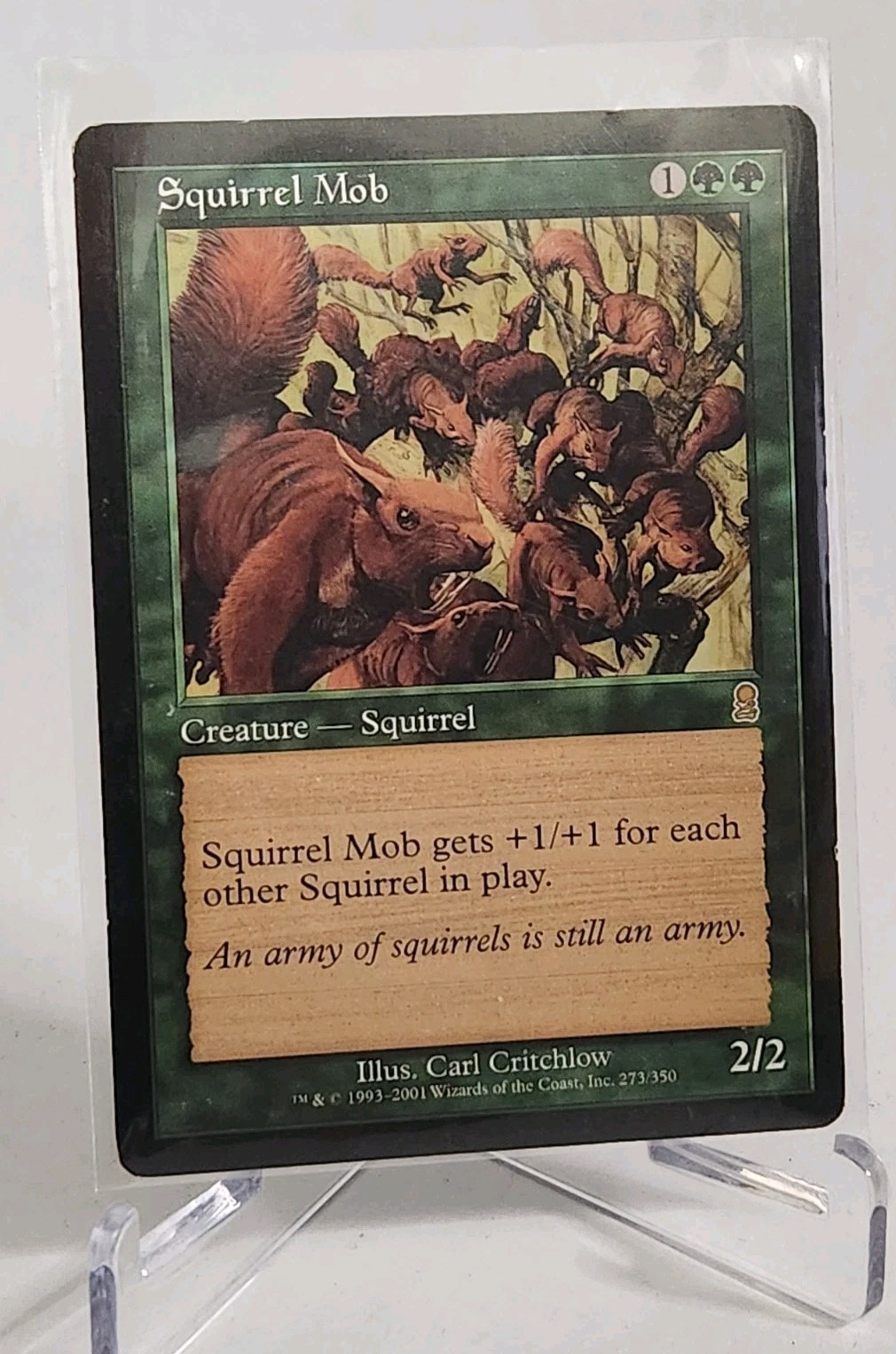 Squirrel Mob Odyssey Regular