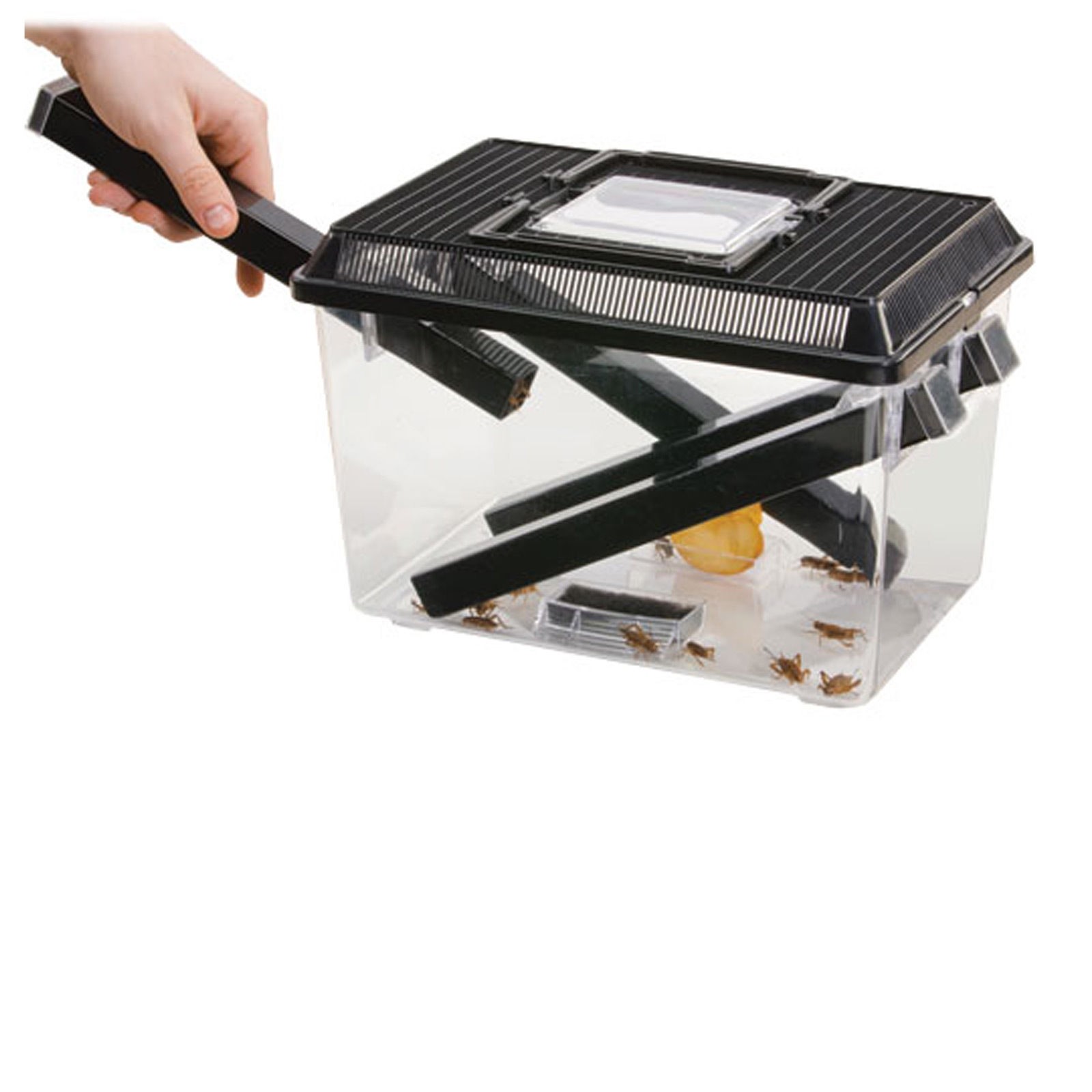 Exo Terra Cricket Pen Keeper Small 15561222853 eBay