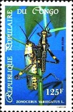 Timbre Insectes Criquets Congo 749 ** - 84869FW