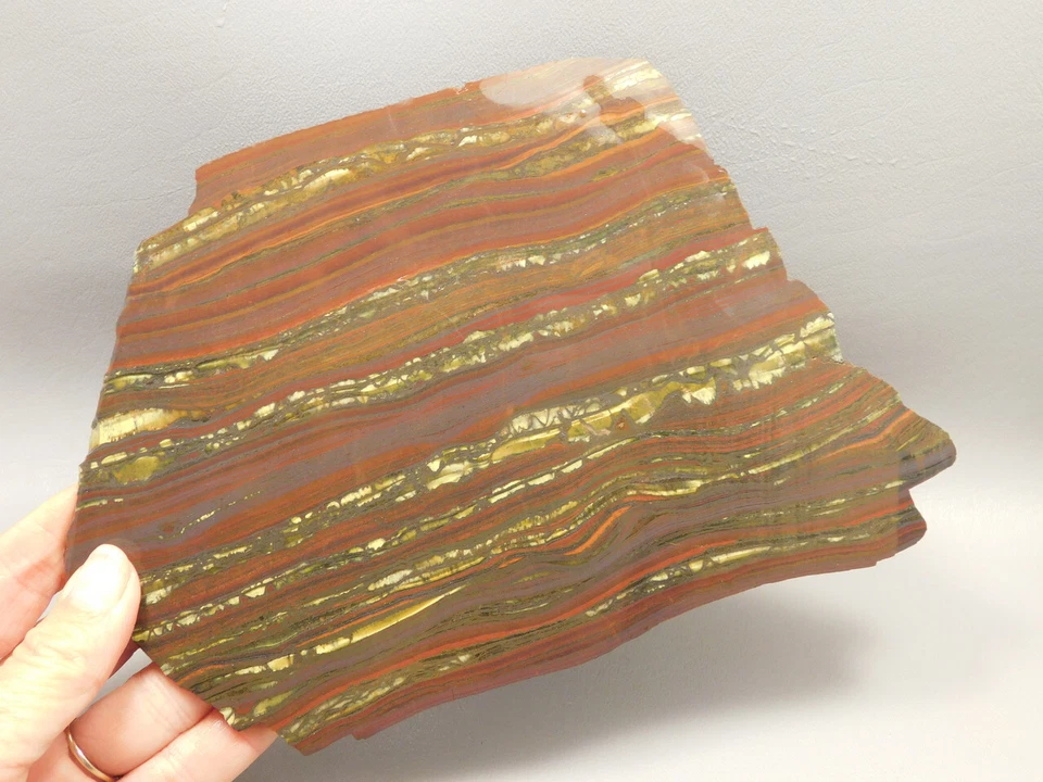 Tiger Iron Rough Rock Lapidary Stone Slab Cabbing #O3 - Image 2 of 4