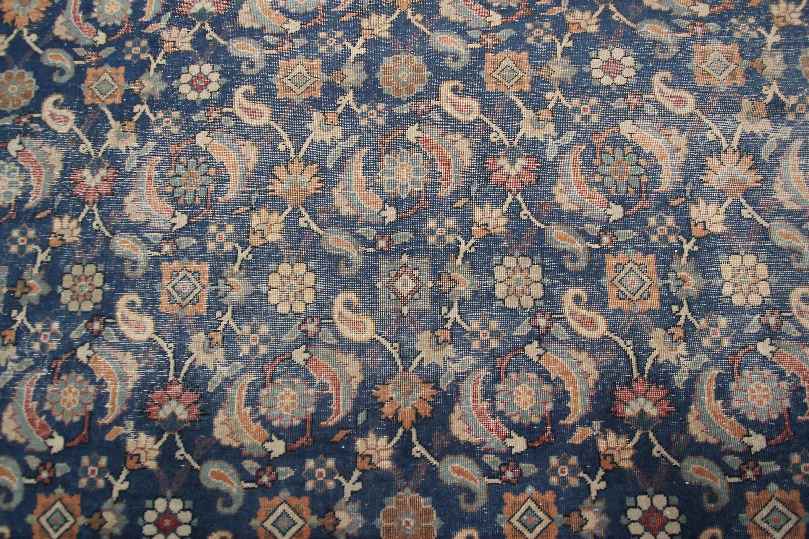 Picture 6 of 11