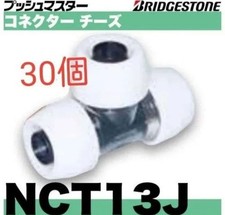 Push Master NCT13J 30 pieces