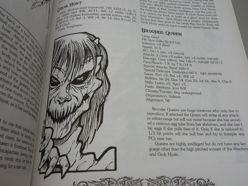 Dungeons & Dragons, DnD: The Horror Beneath (d20 System Nightshift Games) - Picture 5 of 12