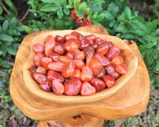 Carnelian Tumbled Stones Medium:  1/2 lb Bulk Lot (Crystal Healing, Reiki) 8 oz