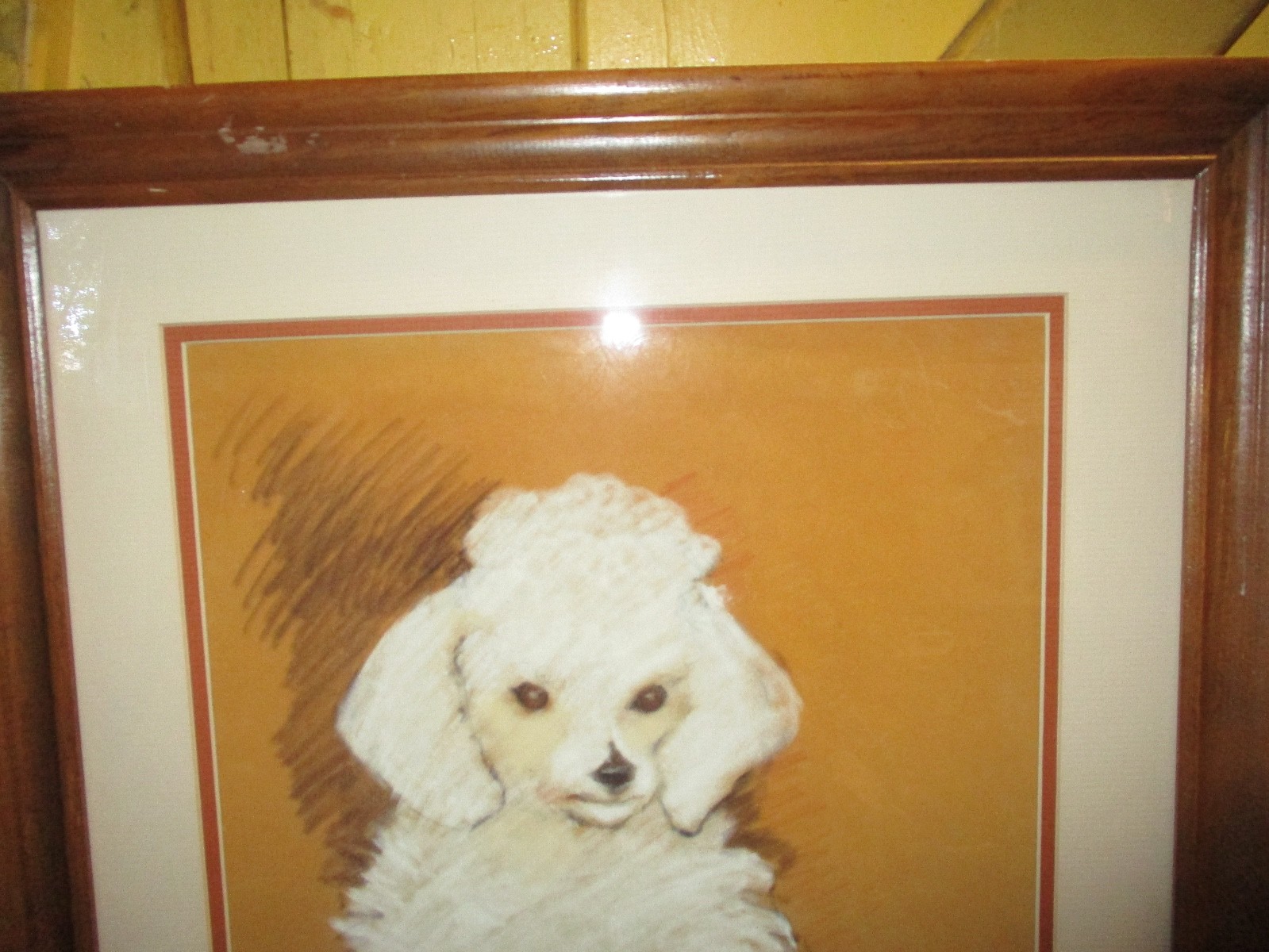 Picture 4 of 11