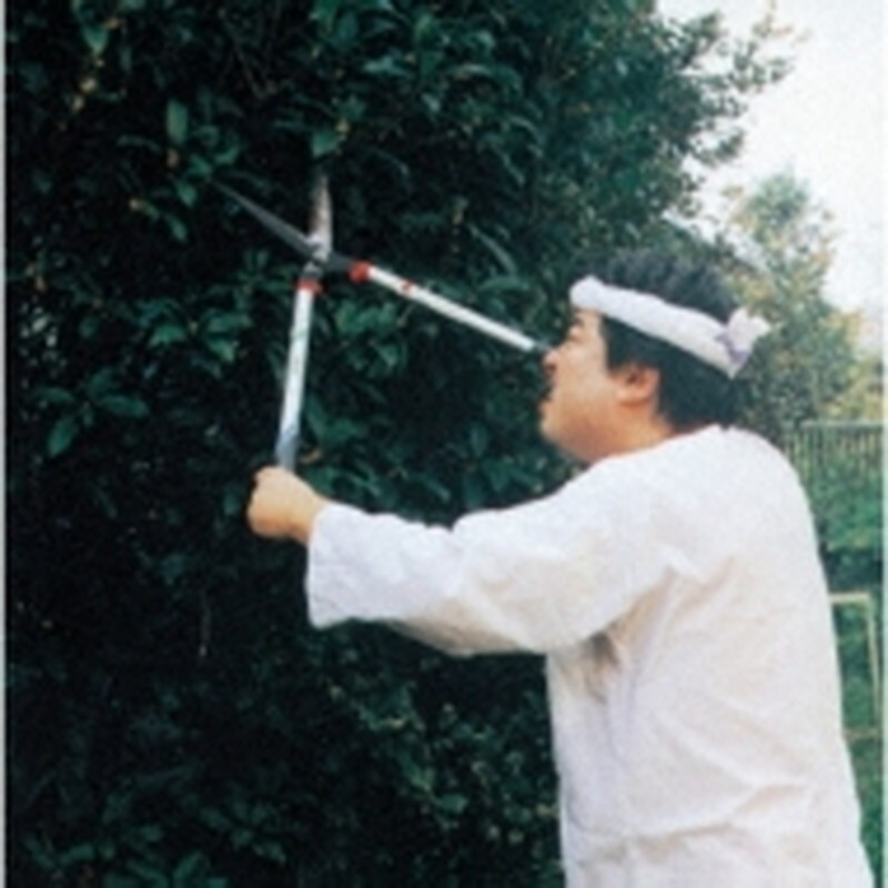 Новый альбом Totsuzen Danball/Fubi (w/Obi) ALPLP24