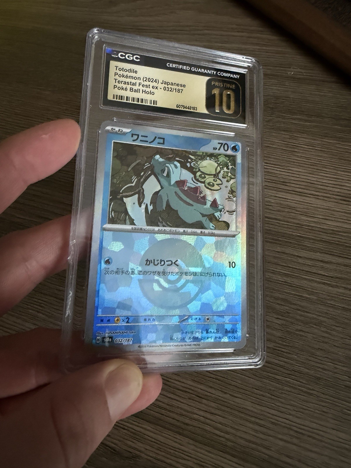 Cgc Pristine 10 Totodile (2024) Pokeball Holo Terastal Festival Jpn 032/187