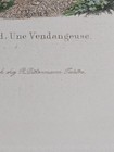 Bild 6 von 11