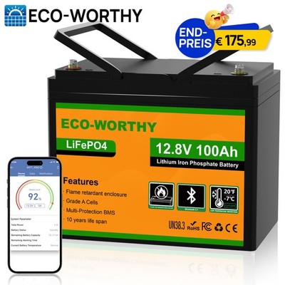 12V 100Ah LiFePO4 Lithium Batterie Bluetooth BMS Solar Wohnmobil Boot