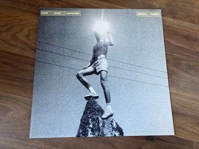 Mount Kimbie    Love What Survives    --  2x lp   (mint  ) (Warp Records)