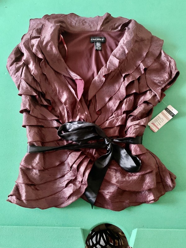 New Cachet Ruffled Blouse NWT’s Sz. 12