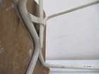 Bild 9 von 13