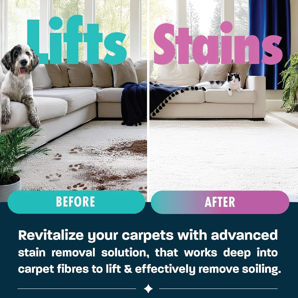 Dirtbusters Pet Pro Teppichreiniger Shampoo Lösung (5L) Tiefenreinigung Fleckenrester - Bild 4 von 4