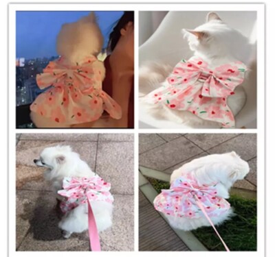 cute dog harness dresses Doggie Design Dots & Stripes Harness Dress
