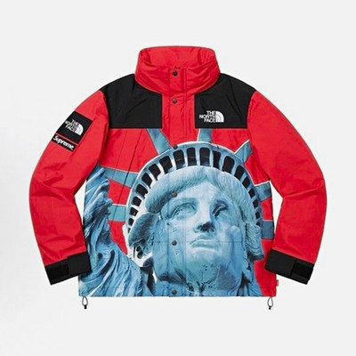 Supreme x The North Face Statue of Liberty Mountain Jacket Herren S Nylon Kapuze