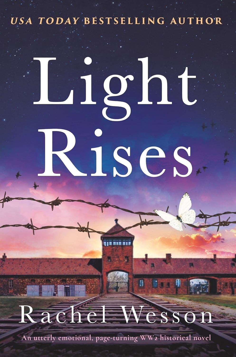 Light Rises The Resistance Sisters Book 2 Paperback WW2 Historical Fiction