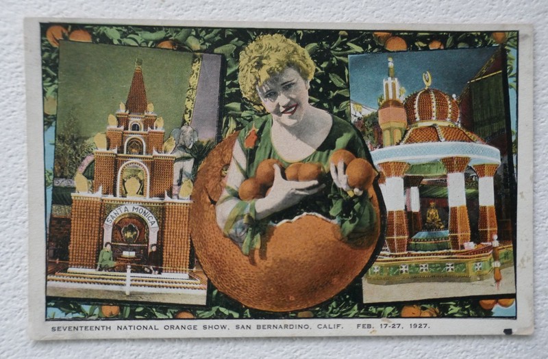 Vtg San Bernardino California Seventeenth National Orange Show 1927 Postcard