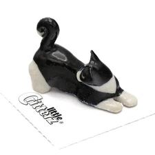 Little Critterz - Tuxedo Kitten "Chessie" LC907 - Mini Porcelain Animal in Box