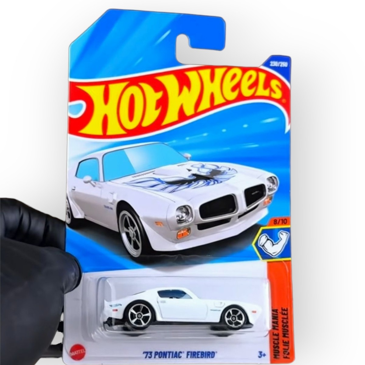 BLIZZARD FIREBIRD 130cm ホットワックス施工済み Miele Blizzard CX1 Pure Suction Bagless - Buckhead Vacuums