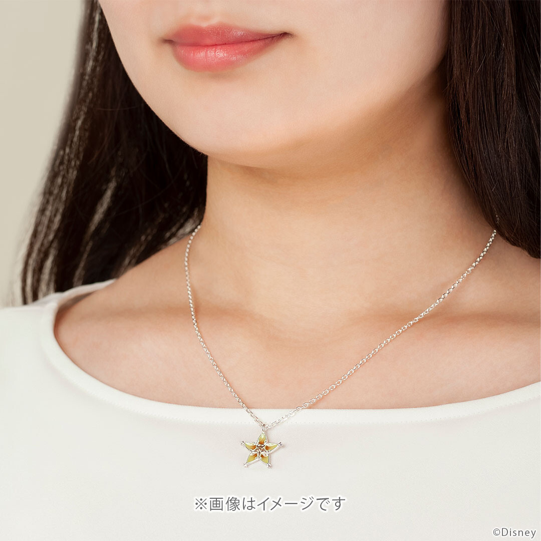 U-TREASURE Kingdom Hearts Connection Amulet TERRA Necklace Silver