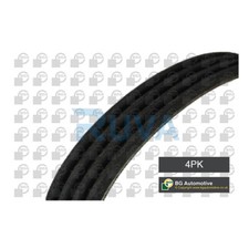 Fits Suzuki Swift 2010- Splash 2008- 1.0 1.2 1.8 Ruva V Ribbed Drive Belt