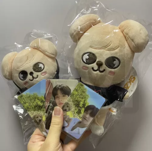 Stray Kids Skzoo OFFIZIELLES Kpop Streuner Kinder Plüschtiere POPUP Puppe Spielzeug Geburtstagsgeschenk- - Bild 20 von 32