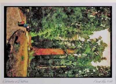 038077 General Sherman Tree Sequoia Nationalpark A3 Aquarelldruck