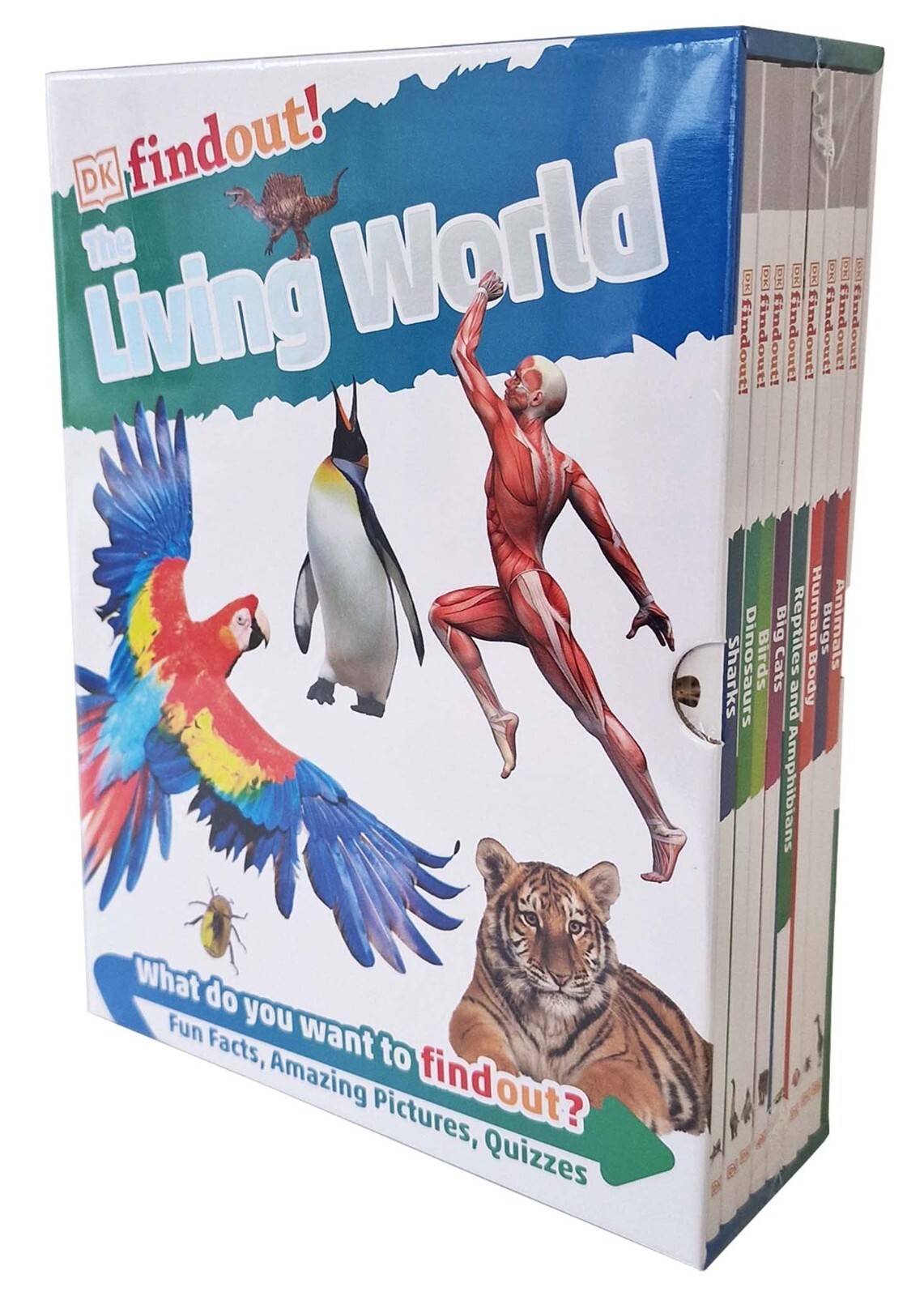 DK Findout The Living World 8 Books Box Set by DK DKfindout! Bugs Paperback NEW