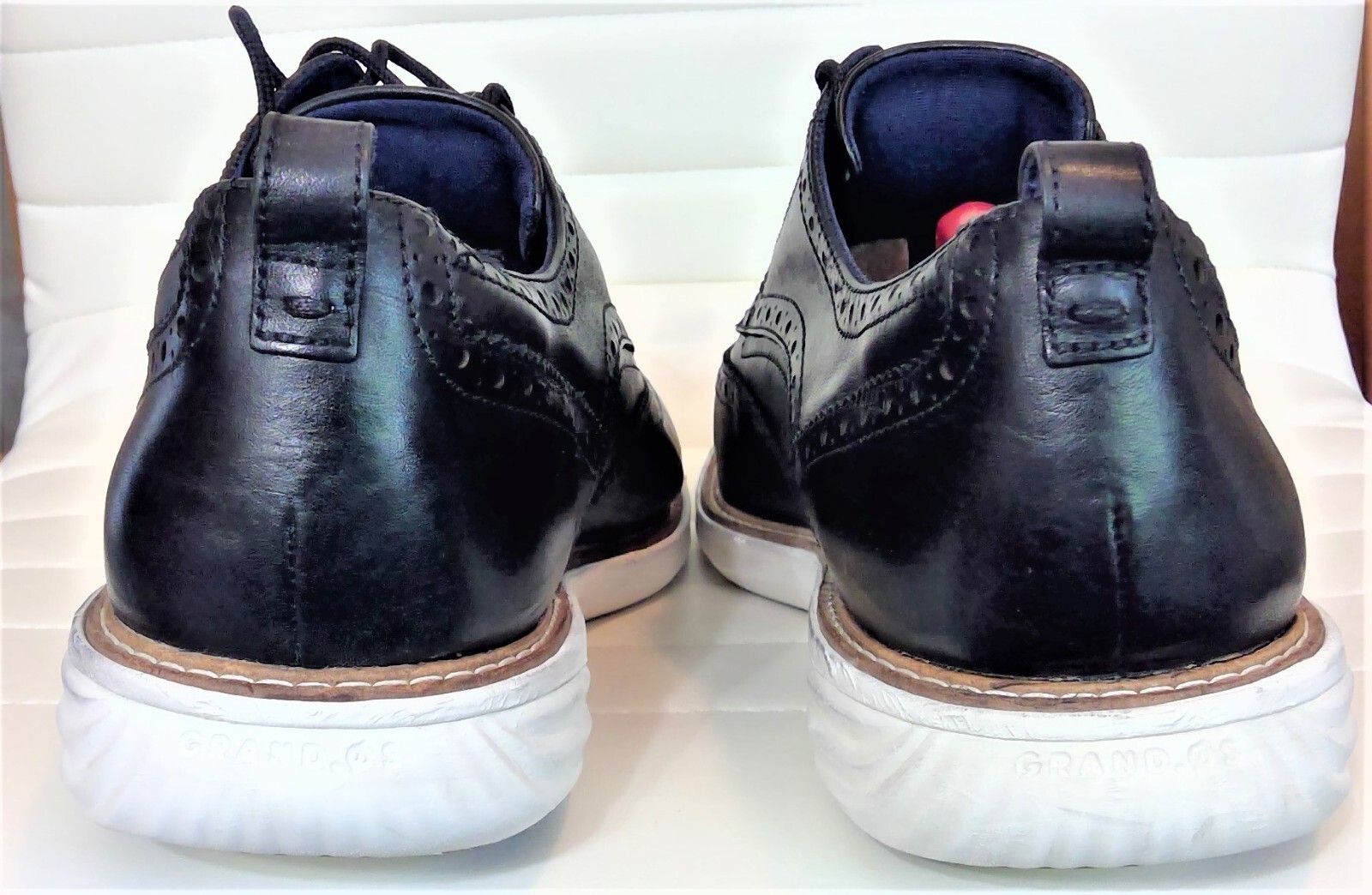 grand evolution shortwing