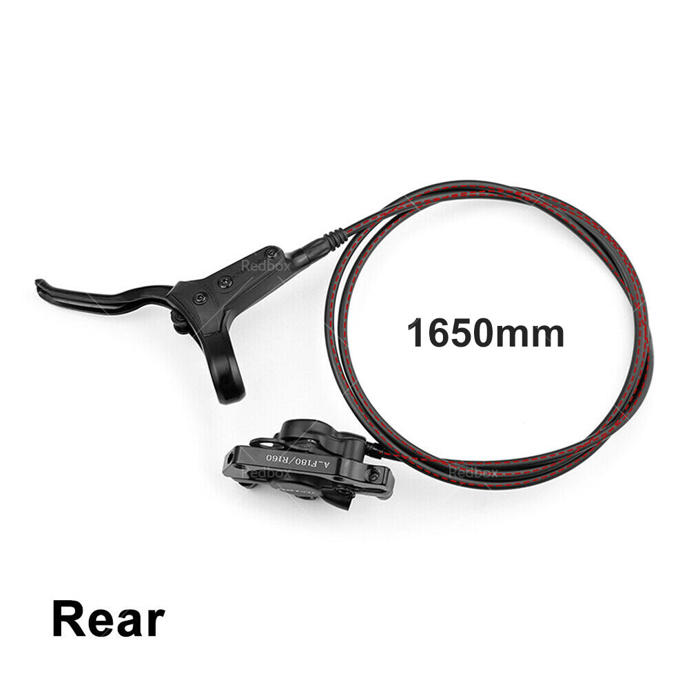 ridgeback honey bike