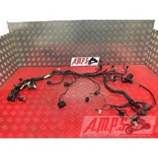 Faisceau électrique principale Kawasaki Z750 2007 à 2012