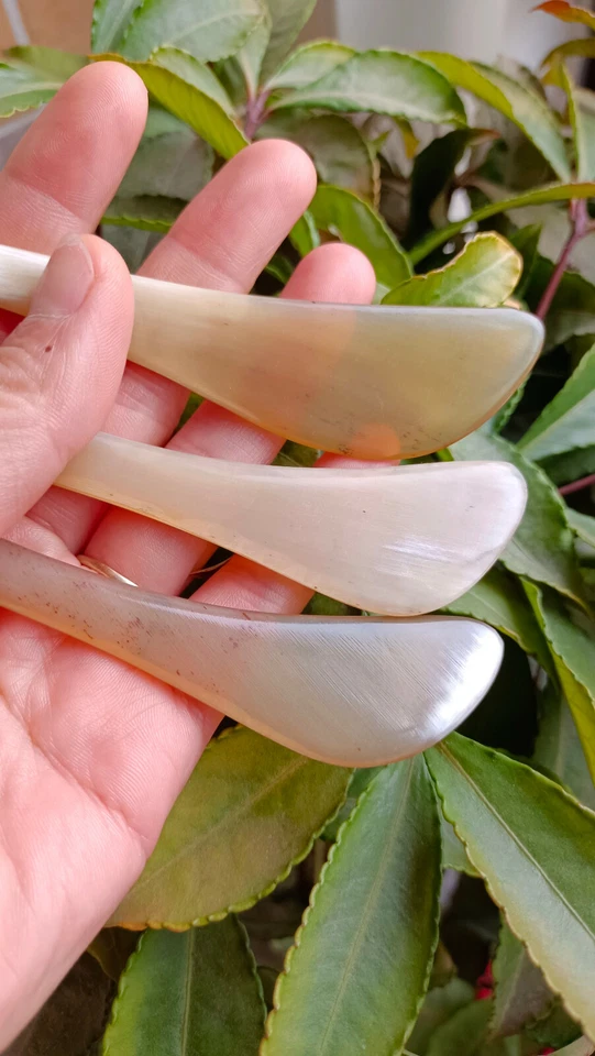 Tabla de raspar cuerno natural herramienta de belleza herramienta de masaje facial juego de 2 piezas Foto 4 de 4