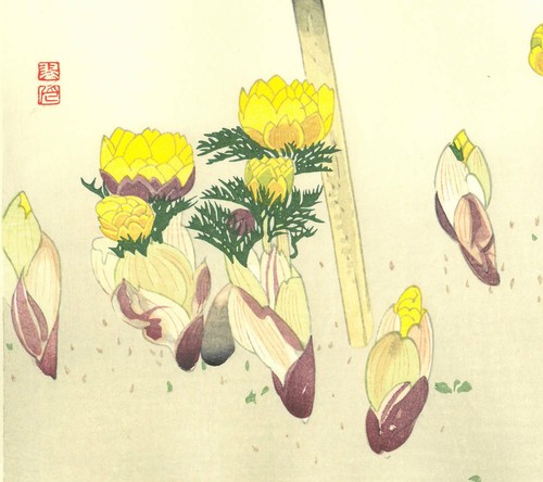 Fukuda Suiko Vintage Woodblock Print Warbler and Adonis - Picture 10 of 10