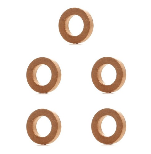 DELPHI 9001-850J Dichtring Set Für Einspritzventil - 5 Stück