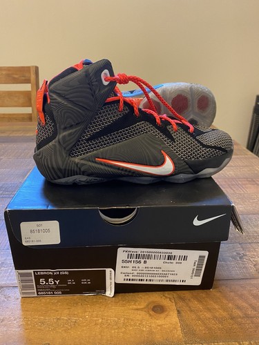 lebron 12 court vision