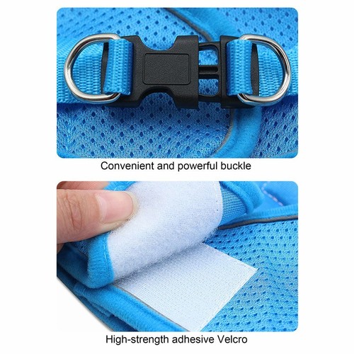 Pet Puppy Harness Breathable Mesh And Leash Set Vest Chest Strap Small Dog XS-XL - 第 9/17 張圖片