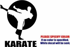Karate Sports Graphic Die Cut decal sticker Car Truck Boat Window Bumper 10"