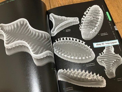 The Amazing World of Diatoms Photobook Visual Book - 第 4/7 張圖片