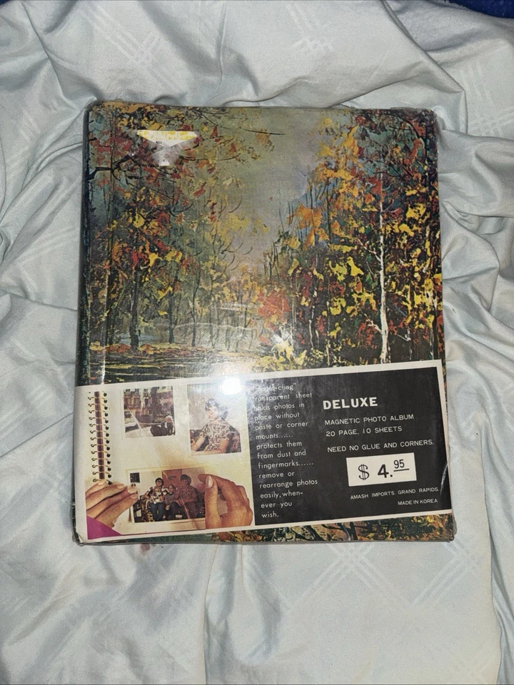 复古 20 世纪 70 年代绿树秋色专辑封面 — 第 2/3 张图片